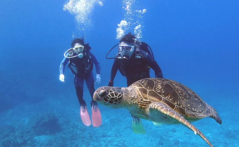 慶良間諸島でダイビングを楽しむ2人