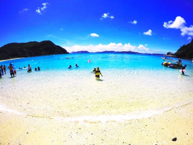 チャーター船　ウミガメ　シュノーケリング