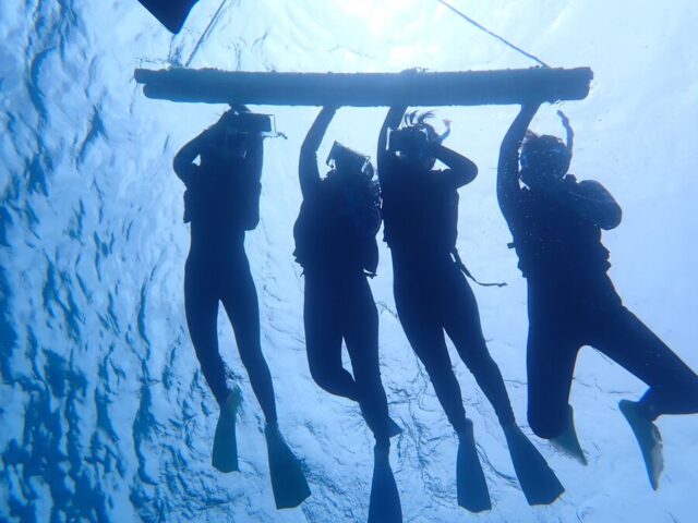 チャーター船　ウミガメ　シュノーケリング