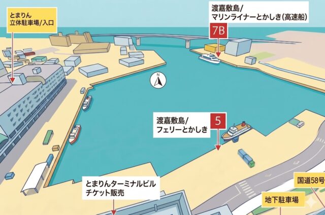 泊港の乗り場マップ