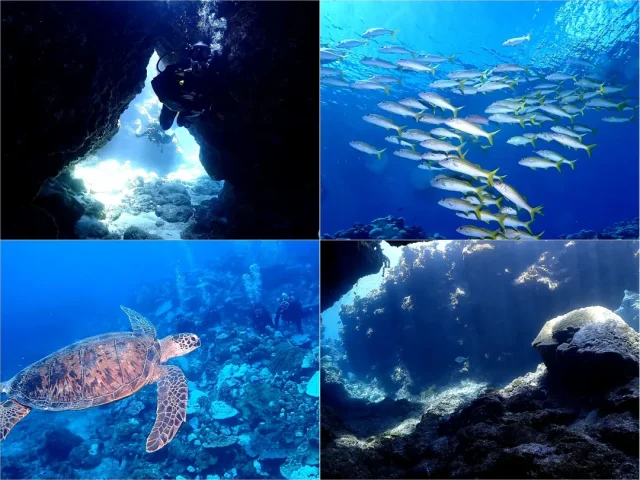 光の神殿　ダイビング　シュノーケリング