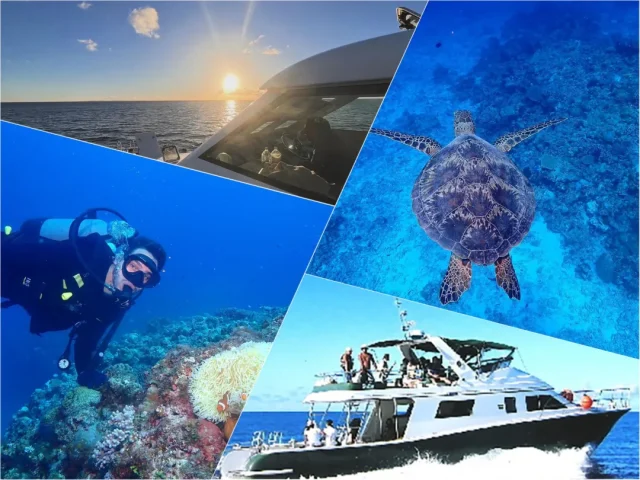 ボートチャーター　ダイビング