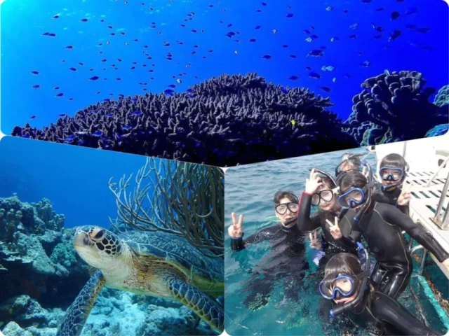 慶良間　シュノーケリング