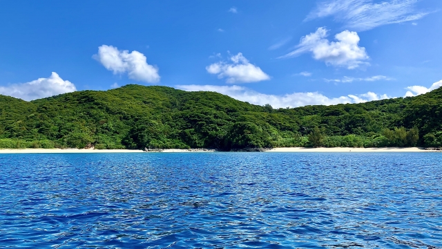 外地島の白い砂浜と緑豊かな風景